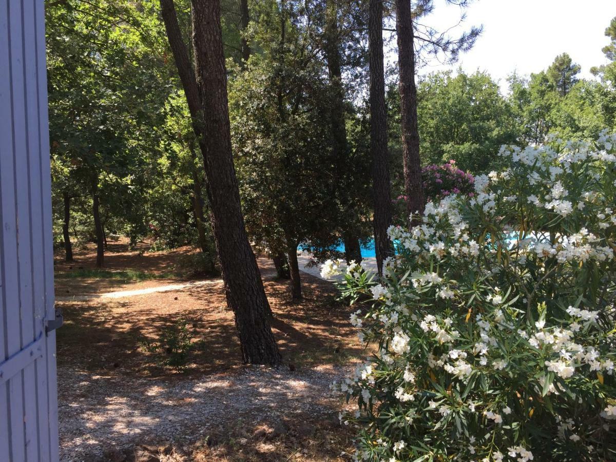 Le Clos Des Cigales Roussillon (Vaucluse) Exterior foto